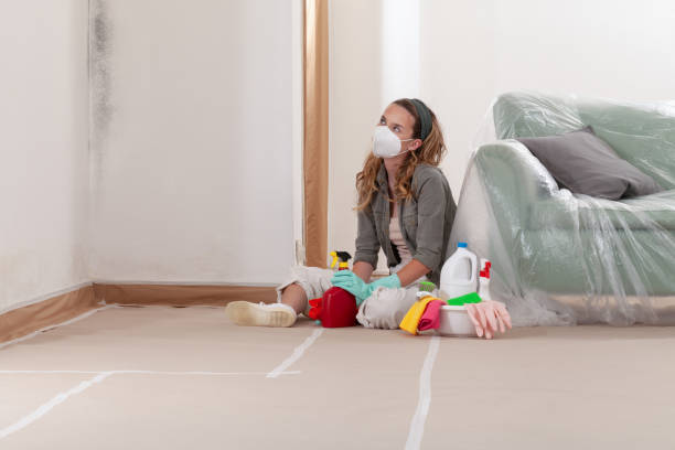 Reliable Mold Inspection contractor in Island Lake, IL by WQB Mold Removal